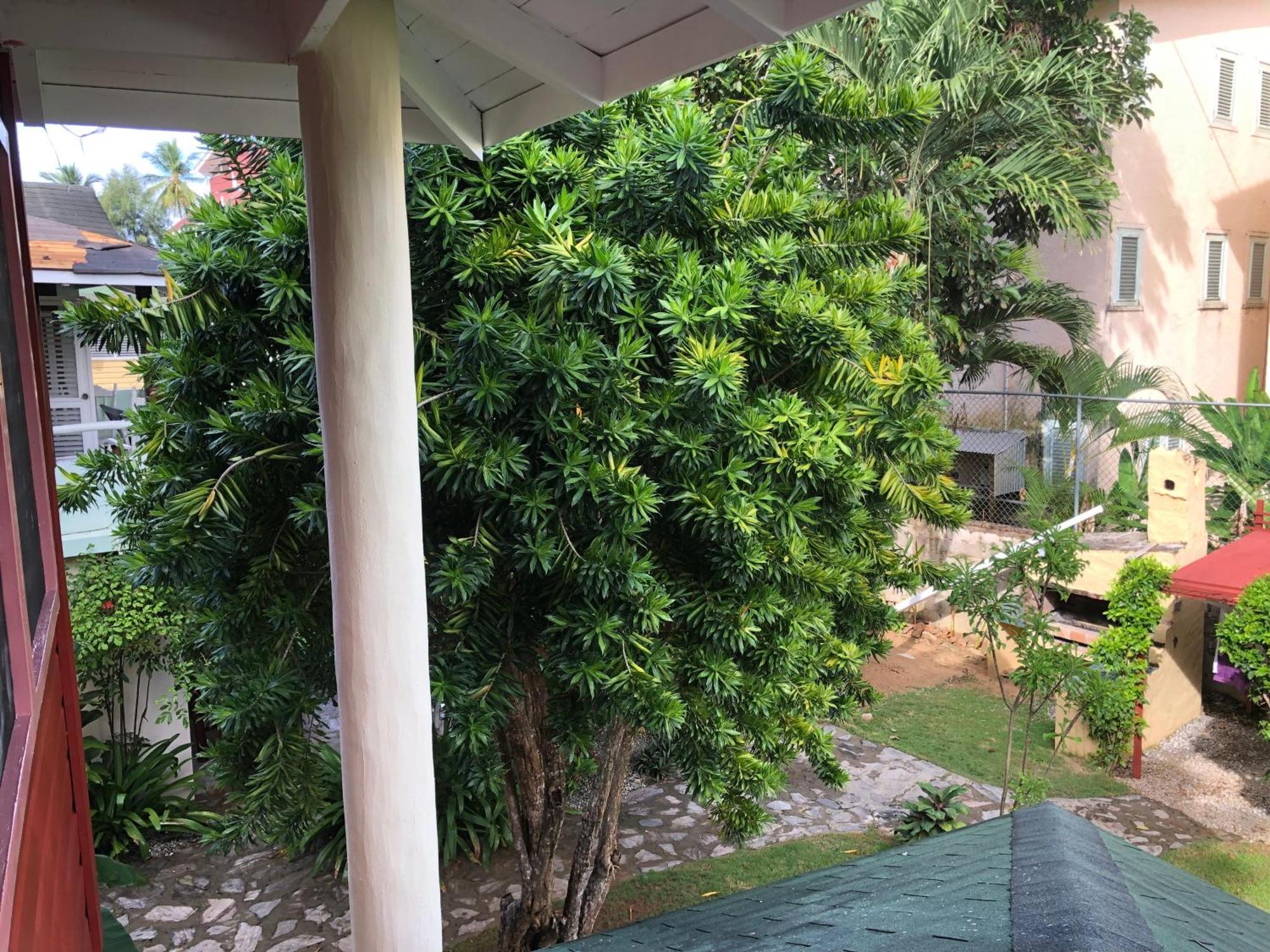 Hotel Casa Robinson Las Terrenas Ngoại thất bức ảnh