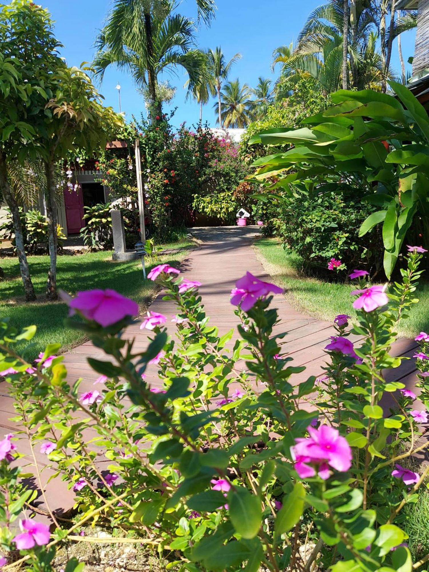 Hotel Casa Robinson Las Terrenas Ngoại thất bức ảnh