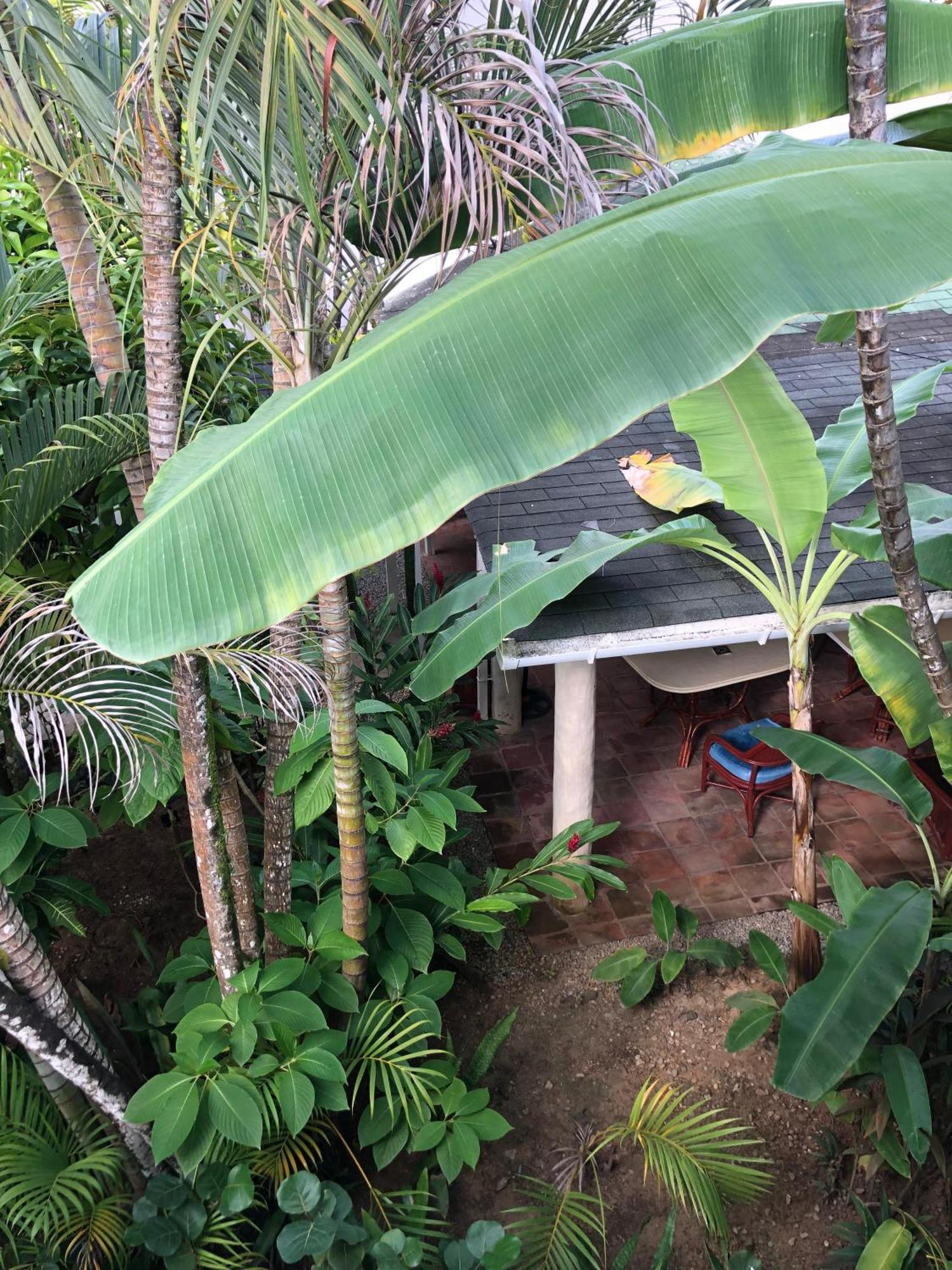 Hotel Casa Robinson Las Terrenas Ngoại thất bức ảnh