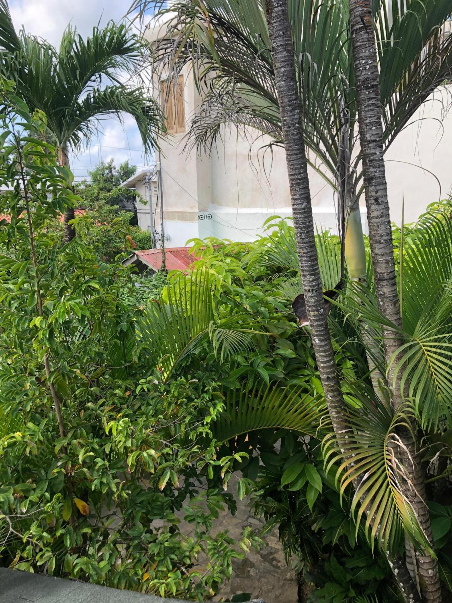 Hotel Casa Robinson Las Terrenas Ngoại thất bức ảnh
