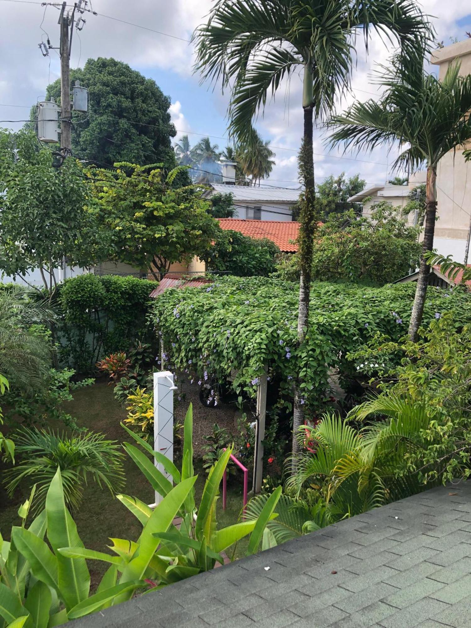 Hotel Casa Robinson Las Terrenas Ngoại thất bức ảnh