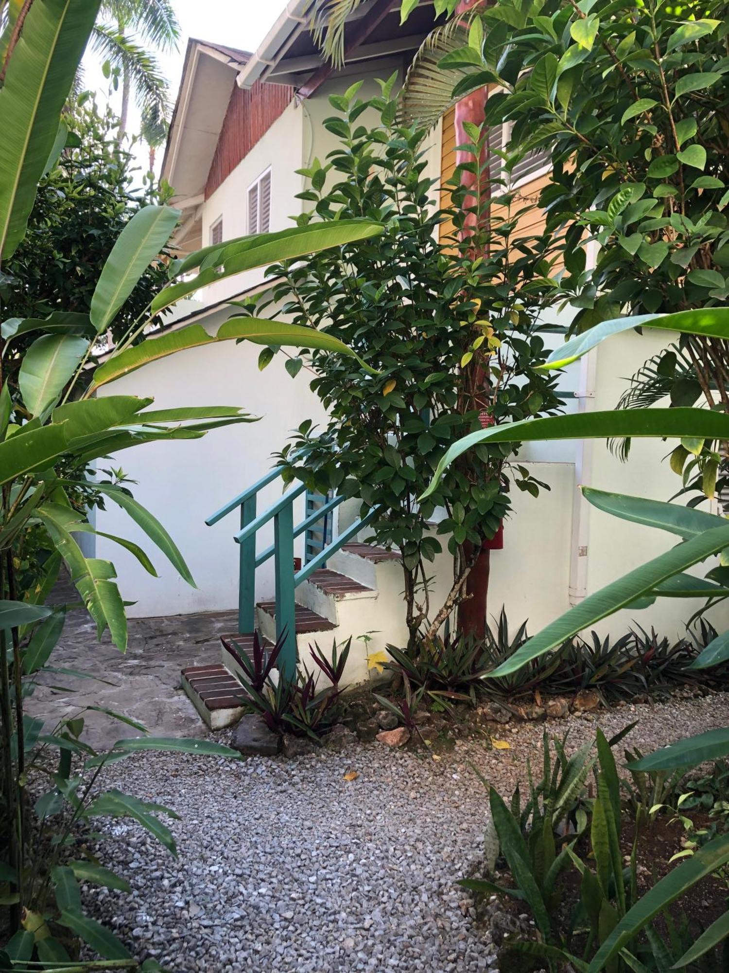 Hotel Casa Robinson Las Terrenas Ngoại thất bức ảnh