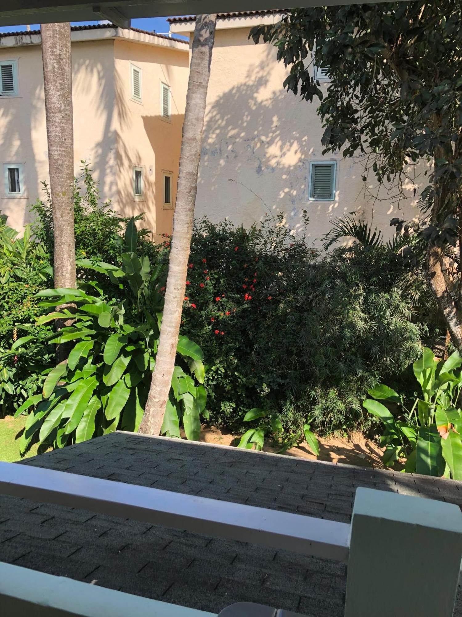 Hotel Casa Robinson Las Terrenas Ngoại thất bức ảnh