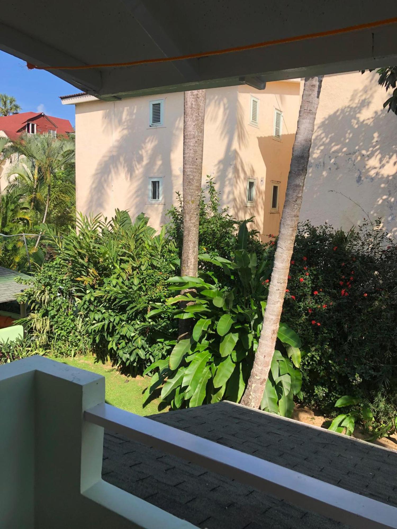 Hotel Casa Robinson Las Terrenas Ngoại thất bức ảnh